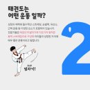 민족사관태권도 이미지