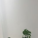 피부하임