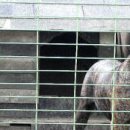 예술광택 이미지