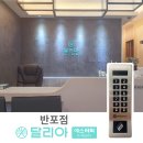 달리아에스테틱(반포점)