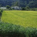 샘재길 이미지