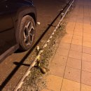 남악 뽑기 언니 이미지