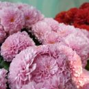 사대한의원 이미지