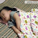 풍기인견쟁이 이미지
