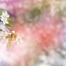 경희미래한의원 이미지