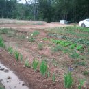 은숙농장 이미지