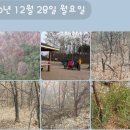 금지순환길 이미지