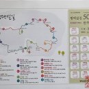 내고향 평택섶길 500리 완주 이미지