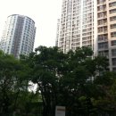 행운공인중개사 이미지