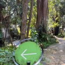 단테 | 치앙마이 당일치기 근교 투어 - 단테와다 입장료 시간 후기