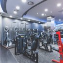 바디메이트 이미지