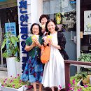 평안교회 | 평안교회 전도행전!