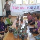 횡천 경로당 이미지