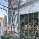 범어카인테리어 | 어두운 불빛아래 촛불하나,, 아로하 아니고. 대구 범어동 카페 아무하.