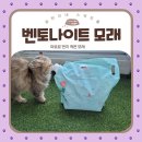 아르르 벤트나이트 모래 :: 먼지 적은 고양이모래 지금 100원이래요!