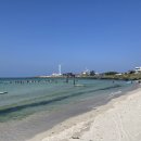 월정온누리약국 이미지