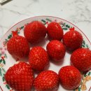 자인농장