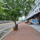 우진사진관 | 안산 보름달스튜디오 ✿ 증명사진 촬영 > 보정 > 인화까지 15분, 안산 중앙동 사진관 후기