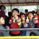 농촌전통테마마을 이미지