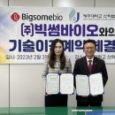 빅썸