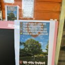 충주 반딧불 오토 캠핑장 | 충주 반딧불 오토캠핑장 C6 사이트 이용(ft.충주 아쿠아리움, 18개월 쌍둥이와 캠핑)