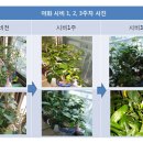 (주)비에스 이미지