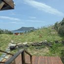 성산일출공인중개사사무소 | 제주 성산의 푸른 바다를 품다, 고성리 단독 펜션 급매각 안내