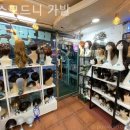 센스모드니 이미지
