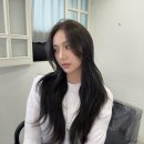 탐나다 헤어 & 가발 | [내돈내산 후기] 서울 강남 청담 긴머리 붙임머리 잘하는곳 탐나도다에서 애쉬브라운으로 변신!