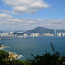 바다 어울림 이미지