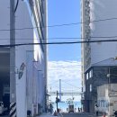 파크하얏트부산 | 💙🌉.부산 파크하얏트 이그제큐티브 마리나 스위트 방문 후기