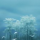 한 사람 이미지