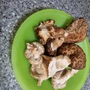 기룡농장 이미지