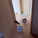 서울준동물병원 이미지