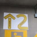 헤이런 | [마라톤후기] 2026 이케아 헤이런 광명점 완주! 역대급 쇼룸 코스와 일일 러닝크루? 체험기