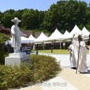 천주교대전교구청 이미지
