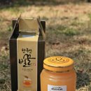 제주건강식품 이미지