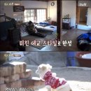 밍키패션 이미지