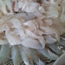 한바다횟집 이미지