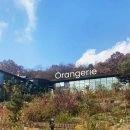 호야애견 | 경기도 양주 가볼만한곳 식물원 테마 대형 카페 오랑주리_애견동반, 방송 촬영장소