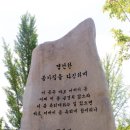 [여중군자 장계향 순례길 스토리텔링 ③]탄생 집(陽宅)에서 영혼 집(陰宅)까지 이미지