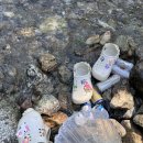 밸리펜션 | 가평 네츄럴밸리 펜션 후기｜개별수영장 + 바로 앞 계곡 꿀조합