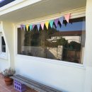 다포아라 이미지