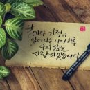 전진엘리베이터
