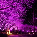 왕인박사유적지 봉선대 이미지