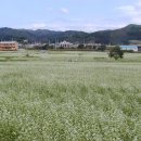 봉평농장 이미지