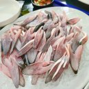 동해바다회 이미지