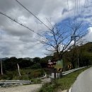 카이로스 | [제천 캠핑장] 청풍호 뷰 끝판왕! 카이로스 캠핑장 내돈내산 후기(시설, 예약, 꿀팁 총정리)