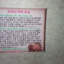 퇴골오리숯불구이홍천본점 이미지