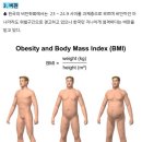 채홍일 카페-BMI 공식, bmi 정상수치는? 체질량 지수(BMI)와 비만, 체질량지수 공식? 이미지